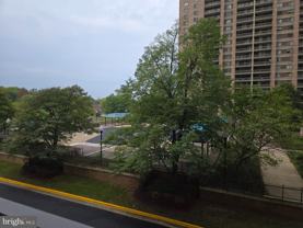 5501 Seminary Rd Apt 214s #214S - Photo 1 of 1