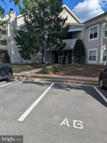 6011 Rosebud Ln Apt 101 #101 - Photo 1 of 1