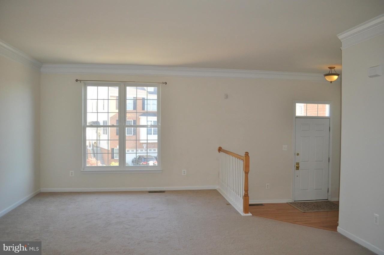 25249 Bald Eagle Terrace - Photo 5 of 28