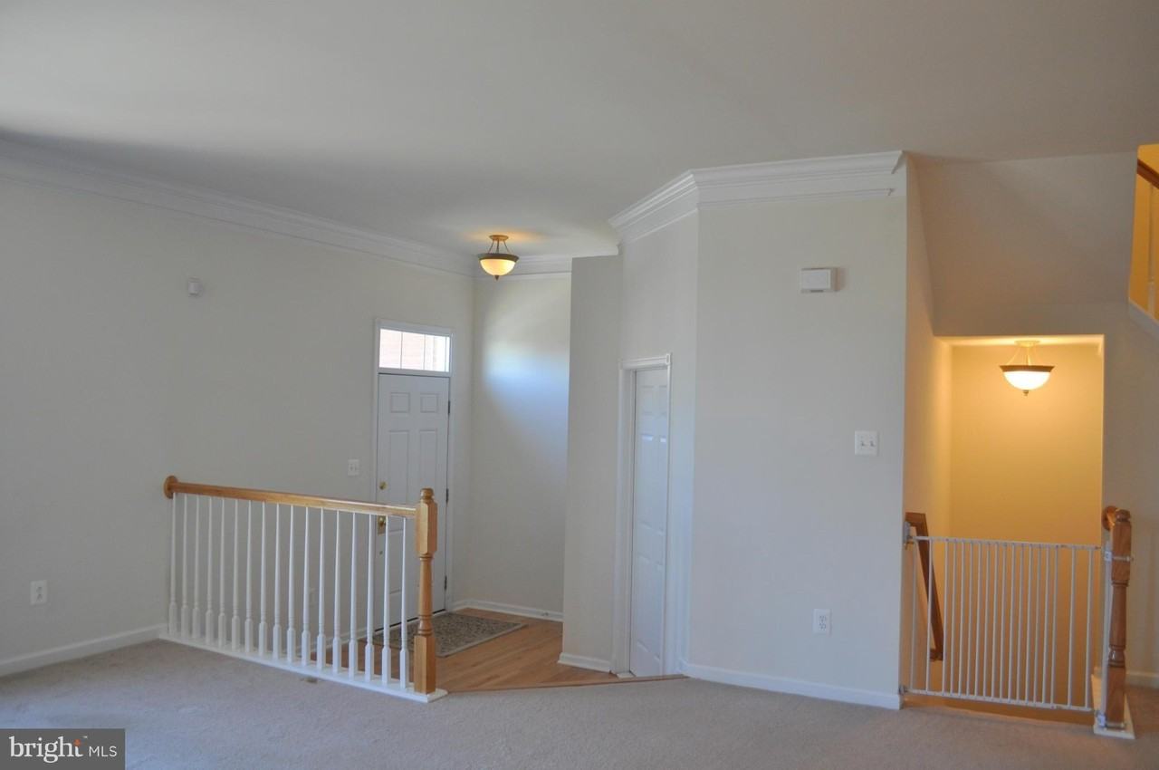 25249 Bald Eagle Terrace - Photo 6 of 28