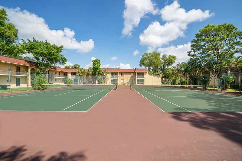 Palo Verde - Photo 2 of 10