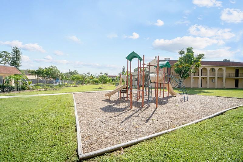 Palo Verde - Photo 3 of 10