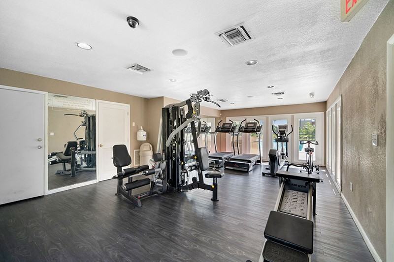 Palo Verde - Photo 4 of 10