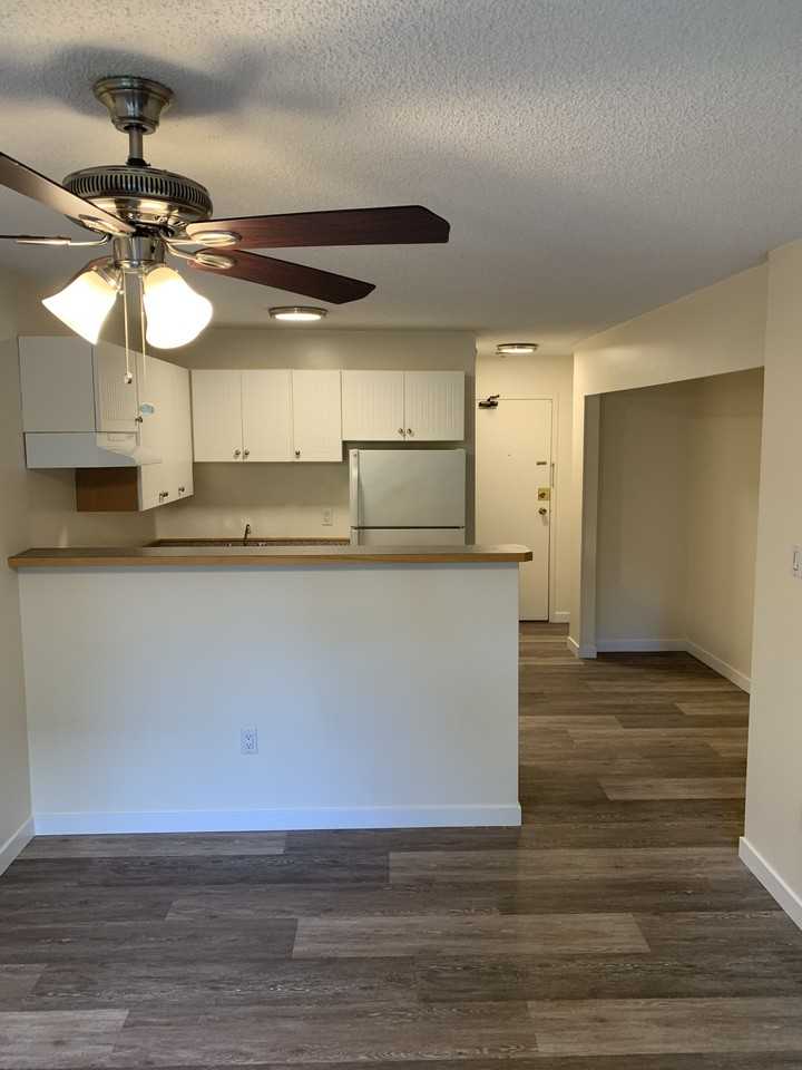 Commercial Dr & Adanac St #207