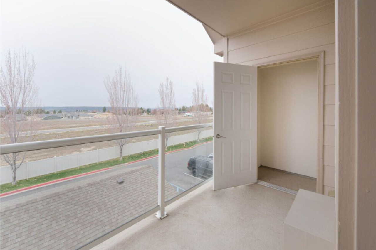 The Lusitano - Photo 3 of 17