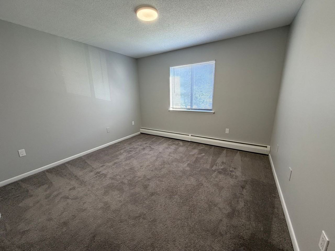 Avon Woods Apartments - Photo 7 of 49