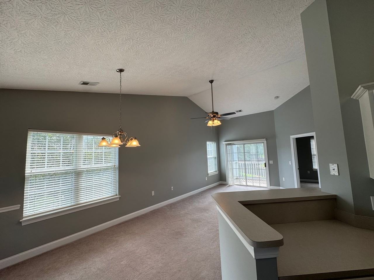 1109 Peace Pipe Pl #201 - Photo 5 of 14