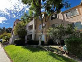 2550 San Gabriel Way #202 - Photo 1 of 1