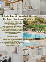 featured image of 269 Shoveler #C