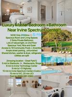 featured image of 269 Shoveler #M