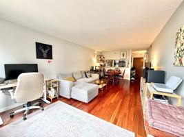 featured image of 4 Martine Ave #203