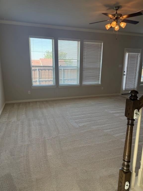 4119 Nia Dr - Photo 4 of 15