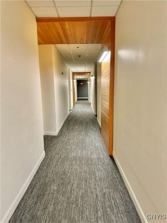 526 Plum St Unit 307 #307 - Photo 5 of 22