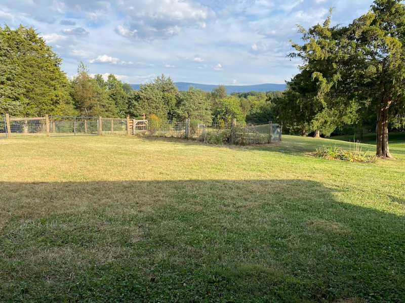 907 Copp Rd - Photo 3 of 20