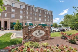 5400 Auth Rd Apt 337 #337 - Photo 1 of 1