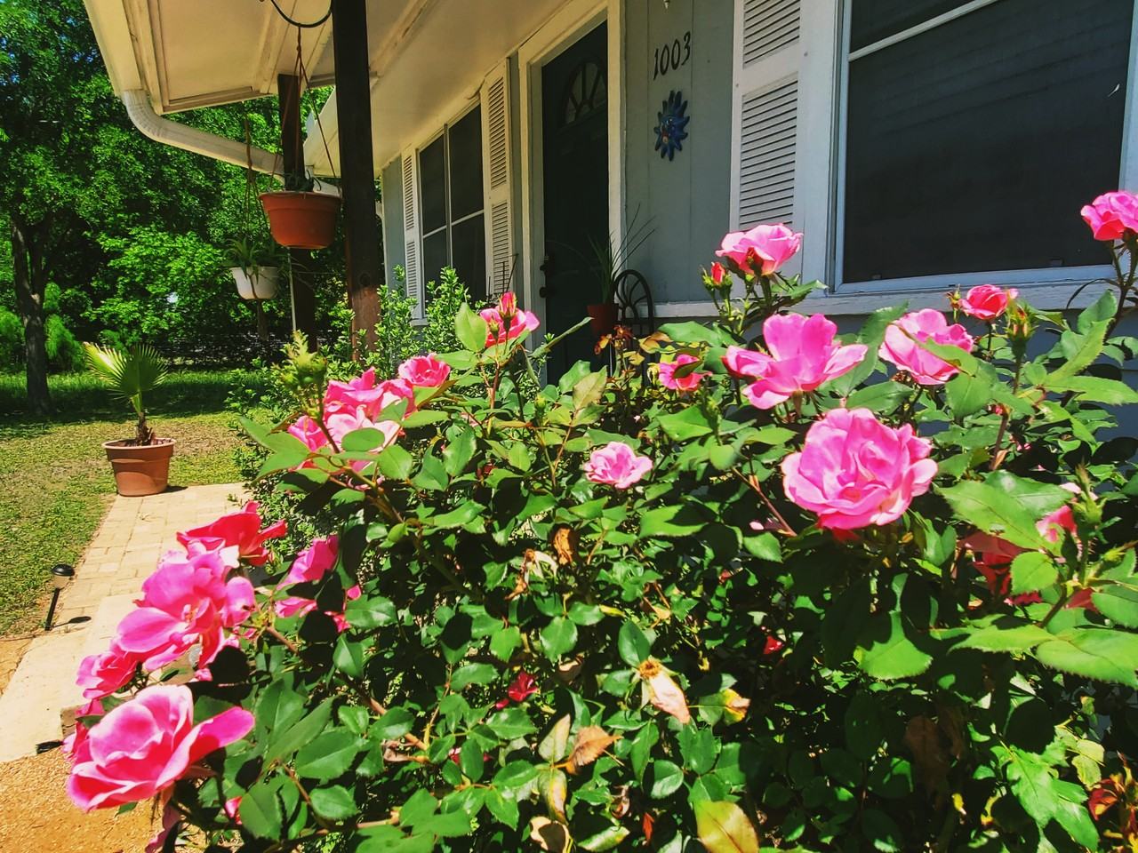 1003 Bugg Lane #NA - Photo 2 of 26