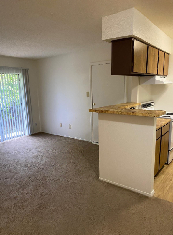 1601 West Somerville Street #301 - Photo 6 of 16