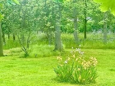 12 Linden Ave - Photo 7 of 23