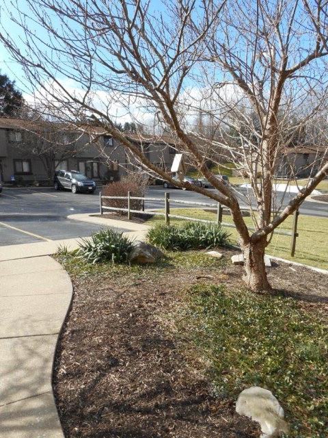 160 Cherrywood Villa - Photo 2 of 10