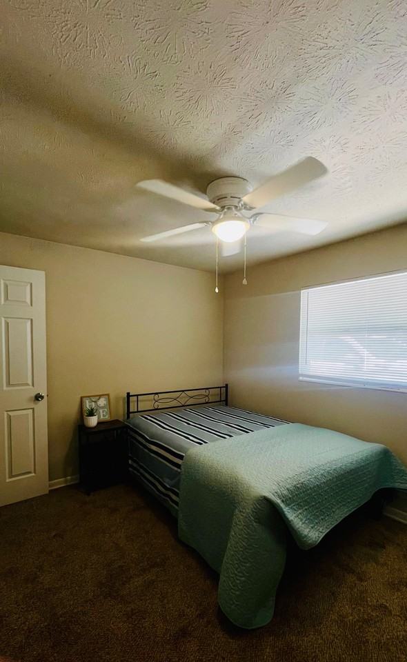 Madeira Dr - Photo 5 of 5