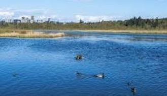 Burnlake Dr & Piper Ave - Photo 1 of 1