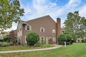 featured image of 29 The Rise