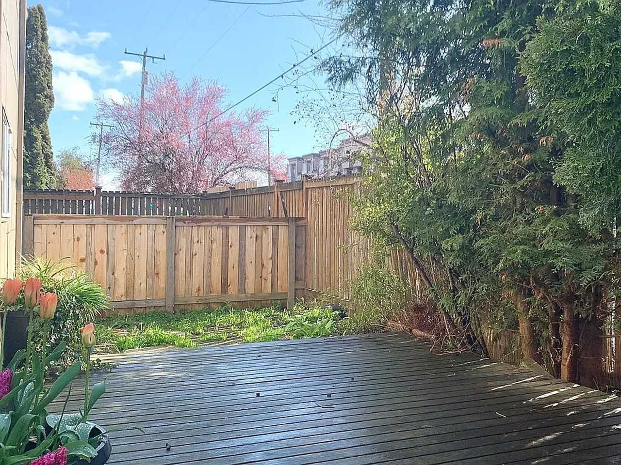 Renovated Apartments at Cedar Lane | Updated Kitchens & LVP Flooring - Photo 4 of 5