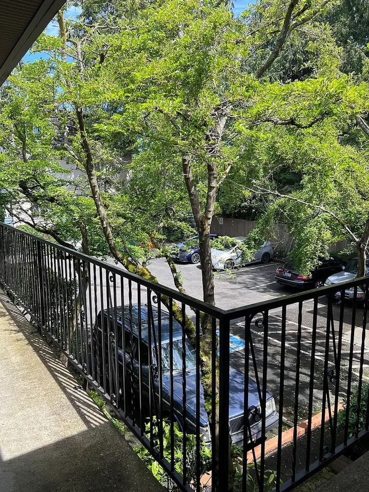 Renovated Apartments at Cedar Lane | Updated Kitchens & LVP Flooring - Photo 5 of 5