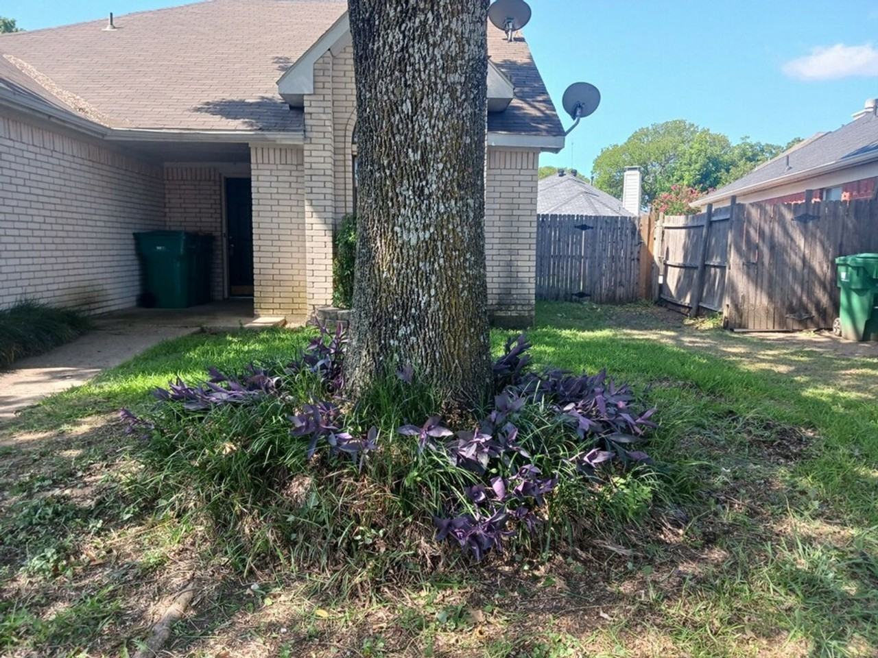 231 High Pointe Ln - Photo 3 of 24