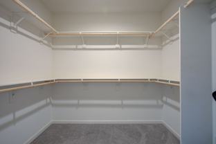 495 Daffodil Dr - Photo 1 of 1