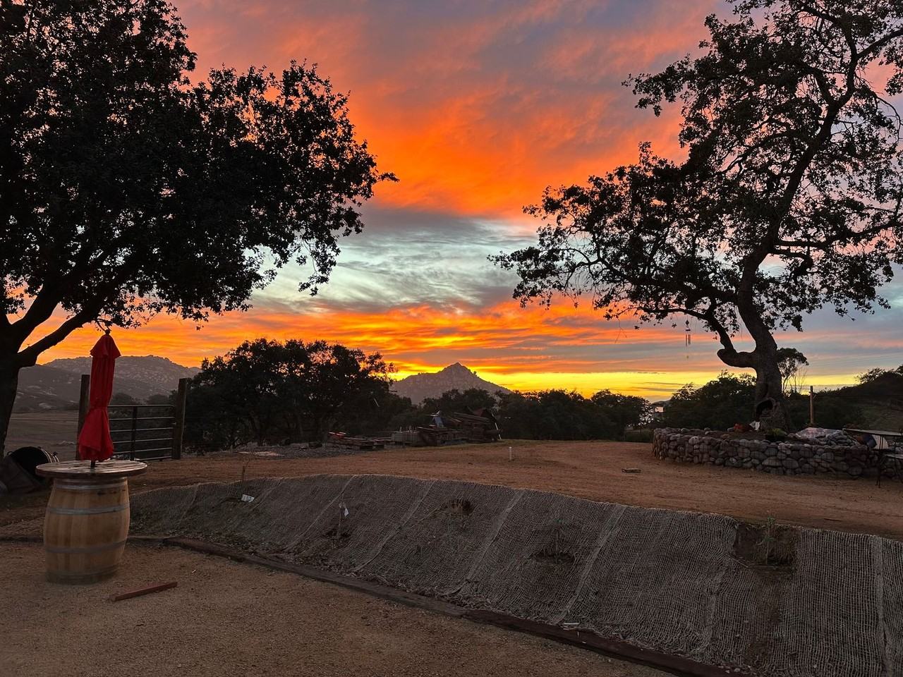 19365 Elena Ln - Photo 2 of 49