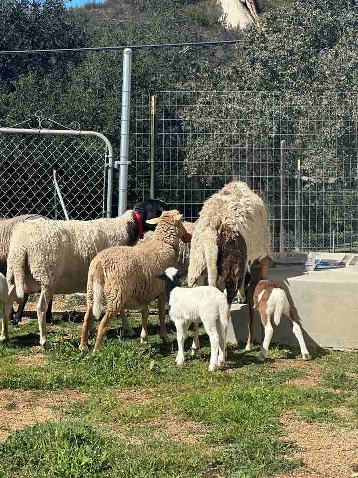 19365 Elena Ln - Photo 3 of 49