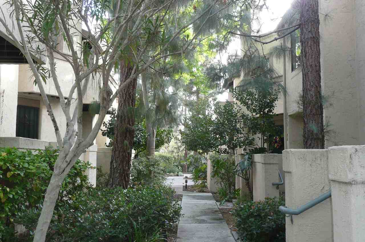 8437 Via Mallorca #88 - Photo 2 of 19