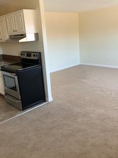 PARKVIEW APTS. - Photo 7 of 17