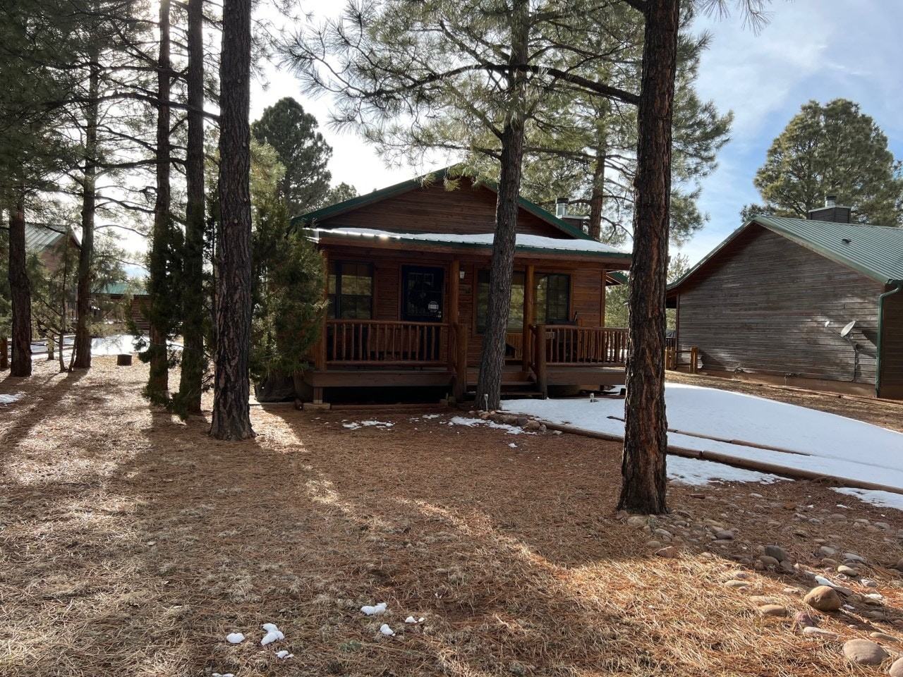 2689 Palomino Trail - Photo 5 of 23