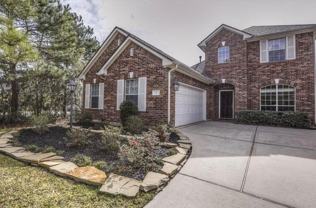 3 Patina Pines Pl - Photo 1 of 1