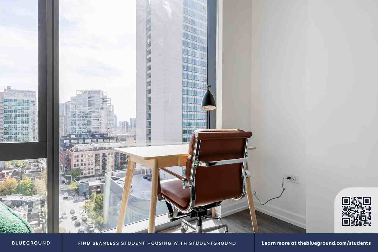 460 W Chicago Ave #1351 - Photo 7 of 31