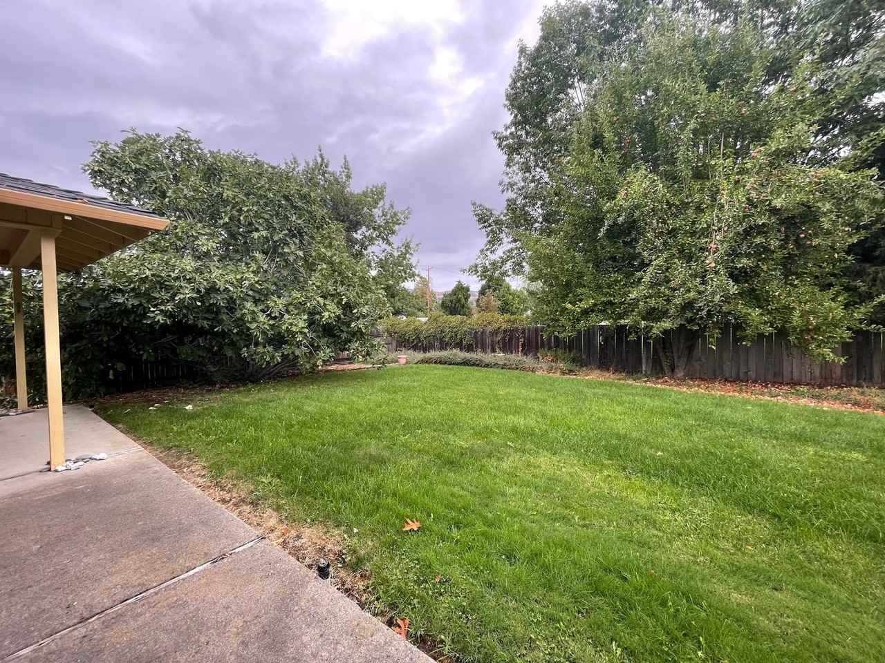 931 La Loma Dr - Photo 6 of 24