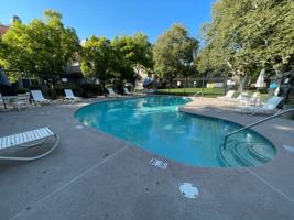 featured image of 2008 Forest Run