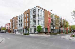 24 Avenue Shamrock #311 - Photo 1 of 1