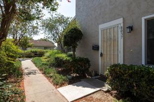 8037 Camino Kiosco - Photo 1 of 1