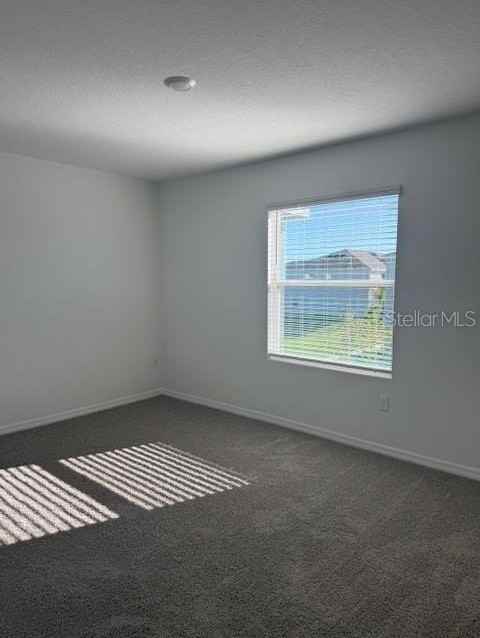 581 Mangrove Shade Cir - Photo 6 of 6