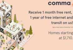 Comma King George - Photo 1 of 1