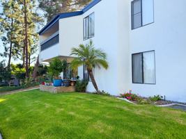 featured image of 7490 Collins Ave