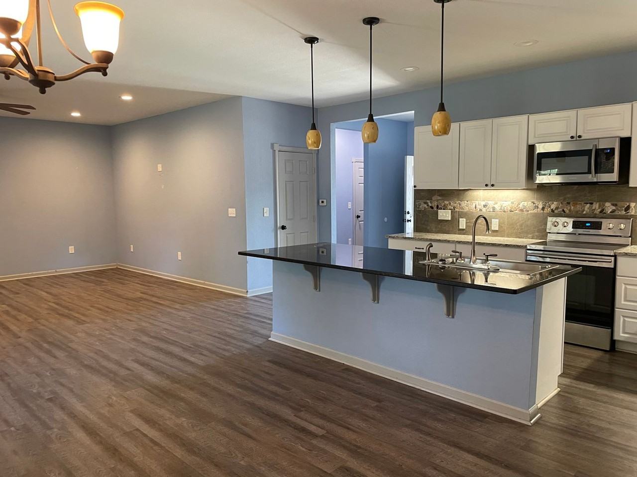 1309 Frankie Ln - Photo 4 of 15