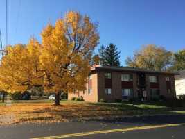 featured image of 211 211 - 225 Weston Ave