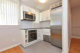 50 Gloucester Street - Photo 1 of 1