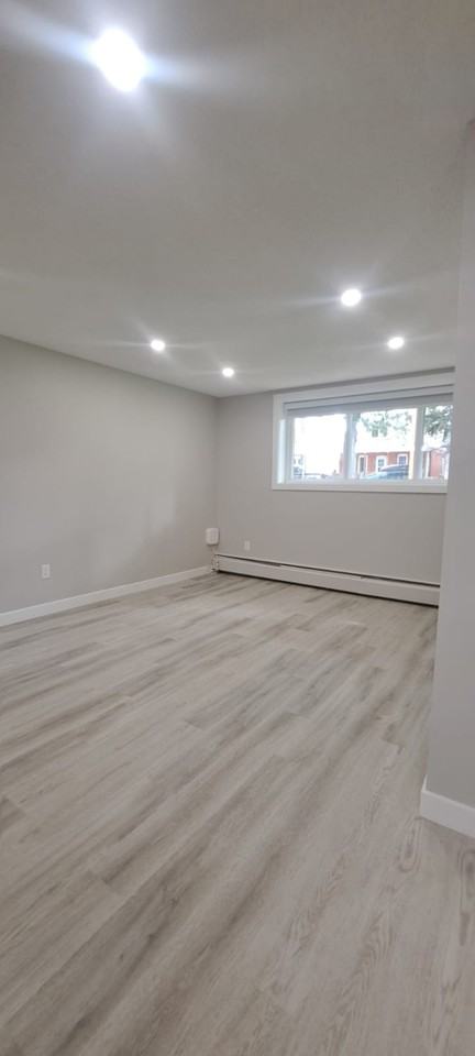 9938 - 9938 88 Ave #2 - Photo 6 of 13