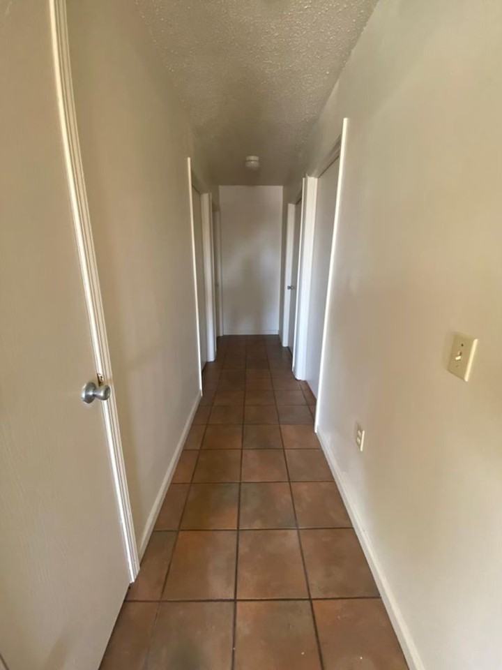 Harpy Eagle LLC - Photo 4 of 11