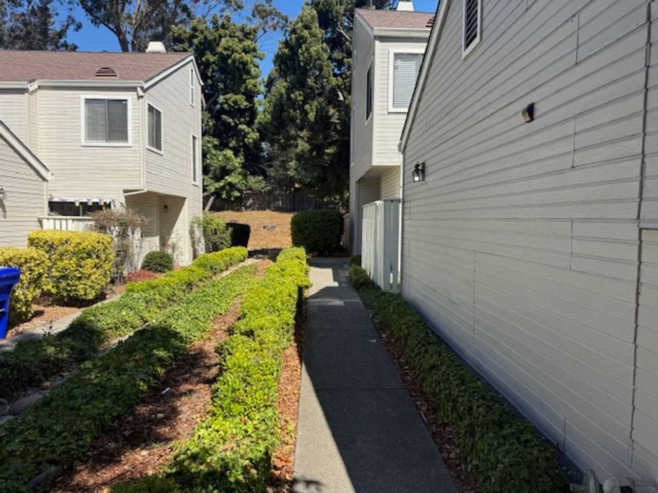 2421 Branchwood Ct - Photo 2 of 31